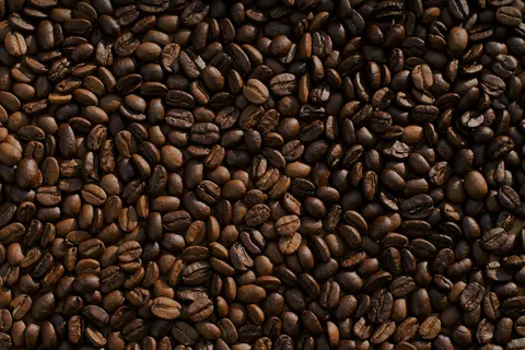 Coffee beans arranged on a surface