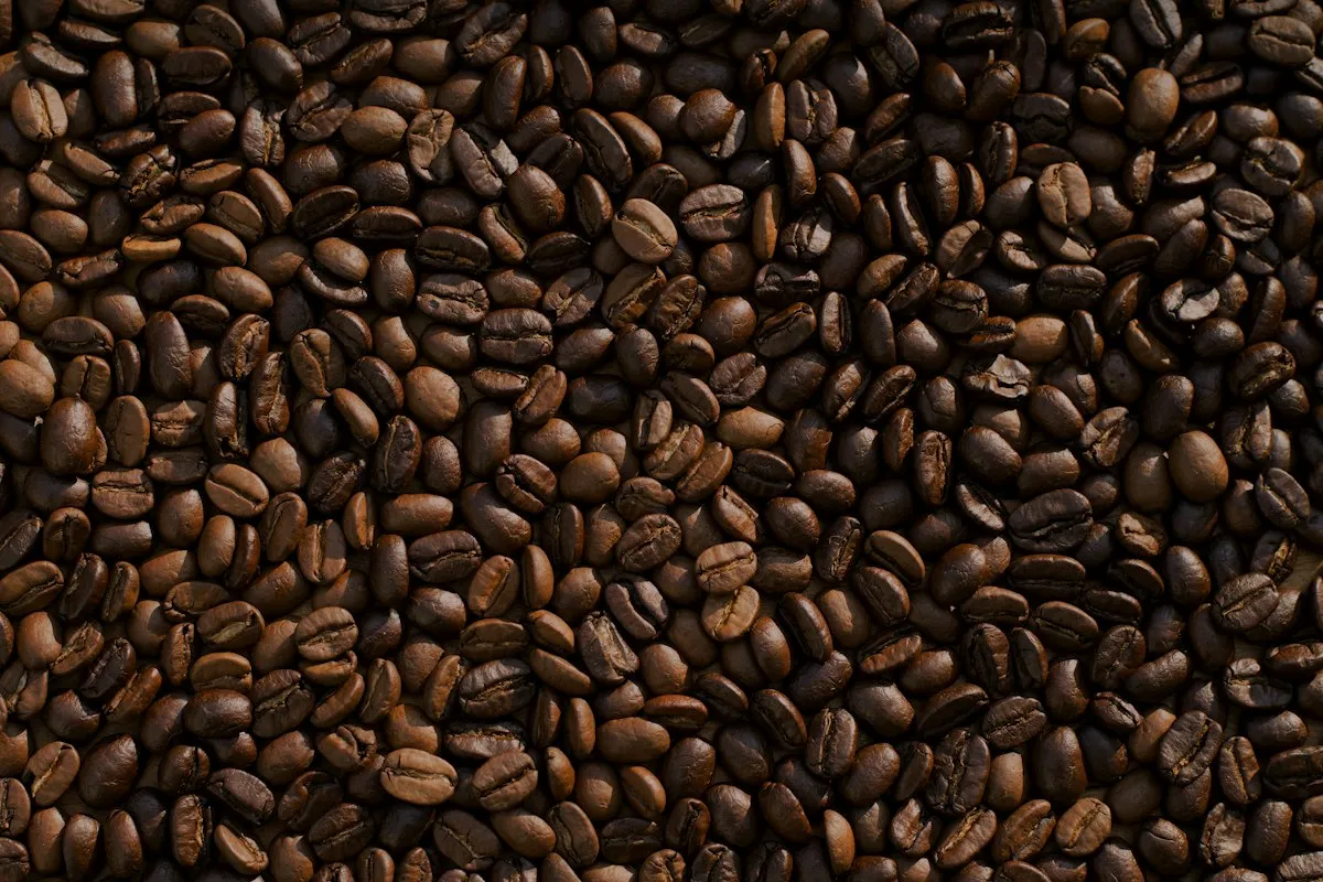 Coffee beans arranged on a surface