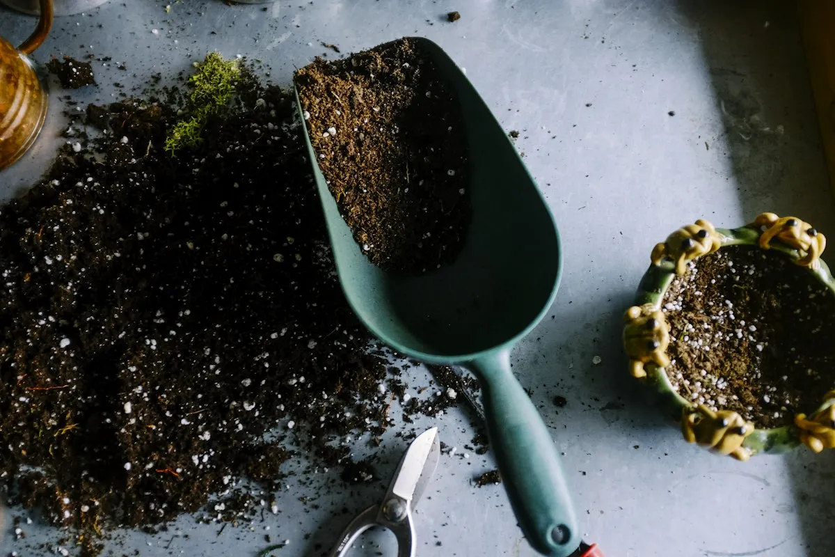 Potted plants and gardening supplies