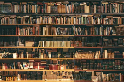 Shelves filled with books