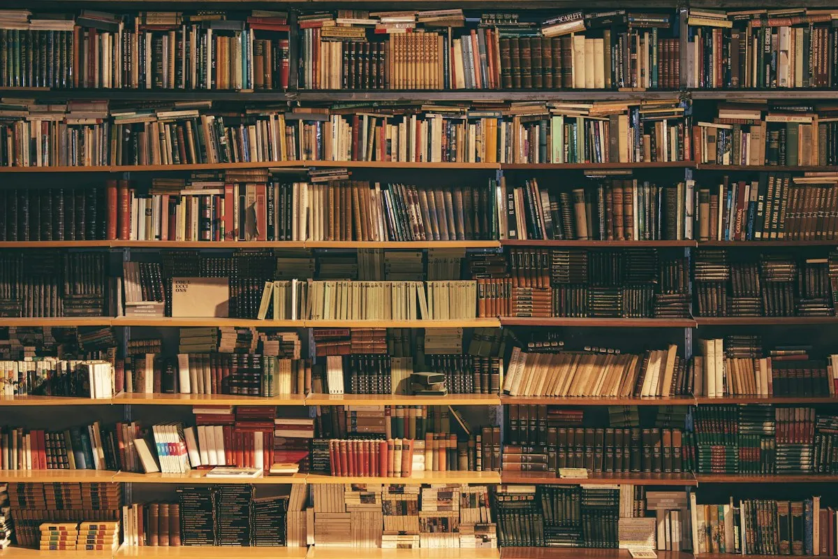 Shelves filled with books